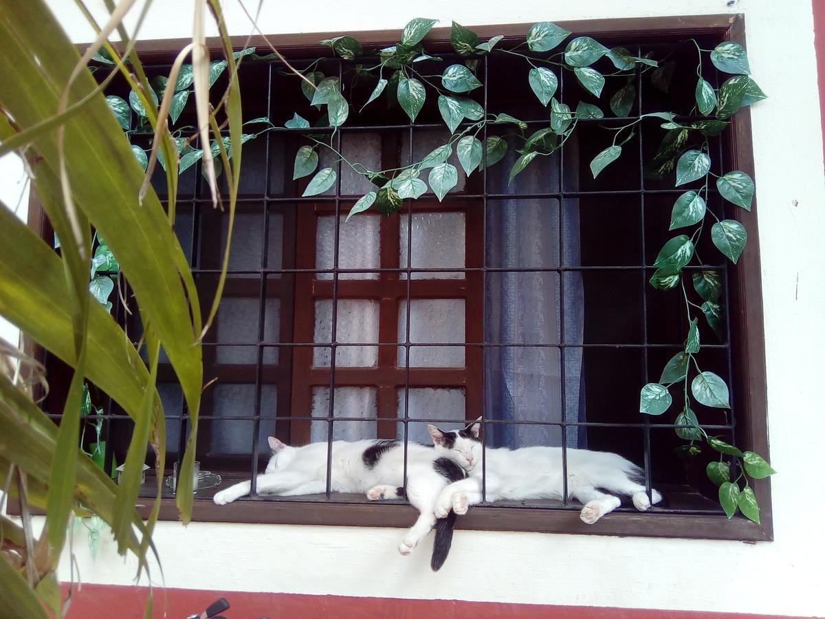 Hotel Casa Mazejuwi Campeche Exteriér fotografie